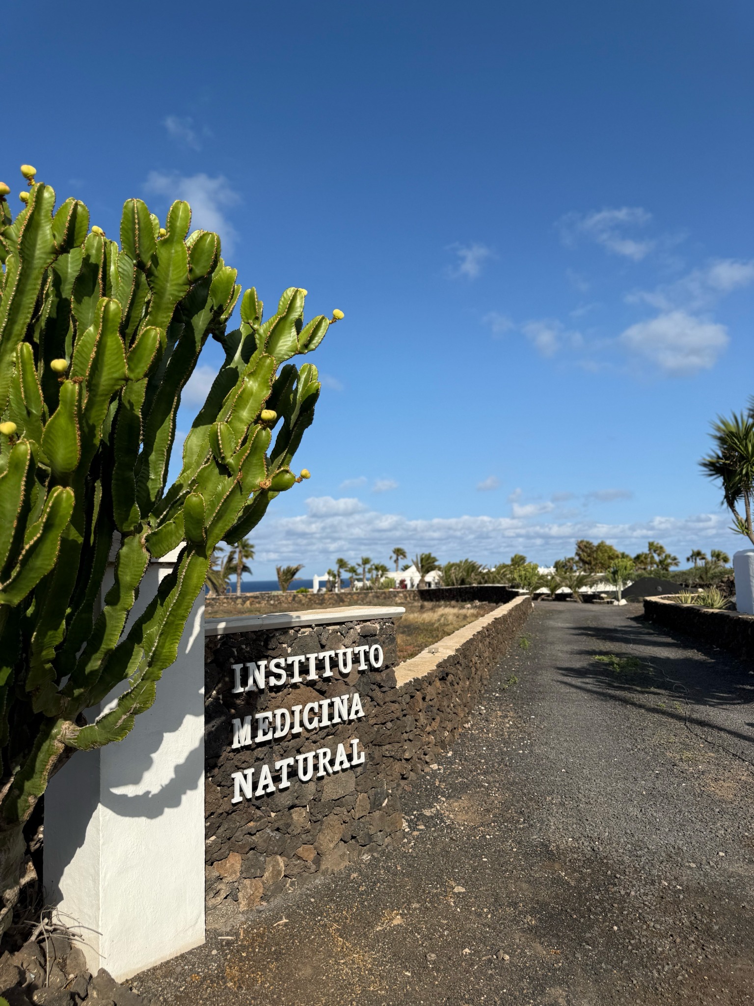 Instituto Medicina Natural bei La Villa Calma